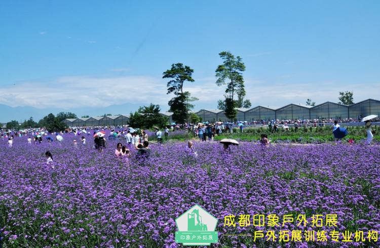 成都拓展培训基地