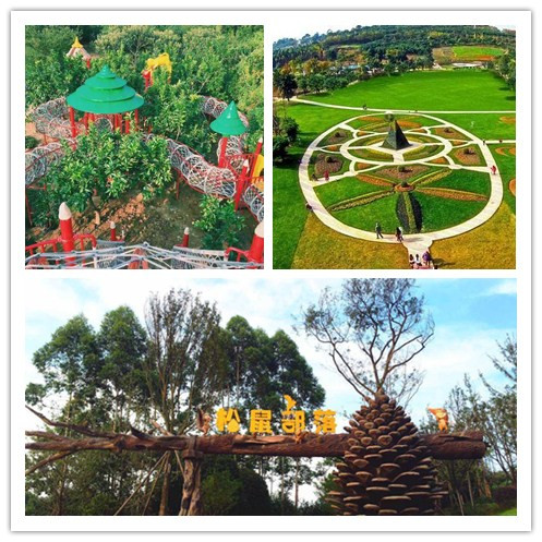 成都亲子拓展基地
